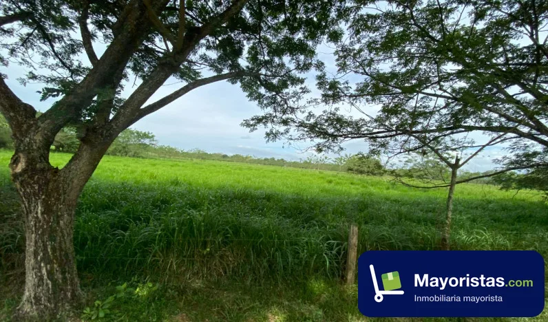 Finca ganadera de 134 ha en La Gloria, Cesar — foto 9 de 10