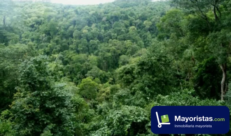 Finca agrícola de 44 ha en Anorí, Antioquia
