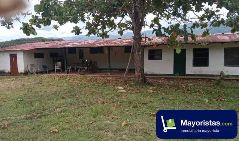 Finca ganadera de 200 ha en Melgar, Tolima — foto 10 de 10
