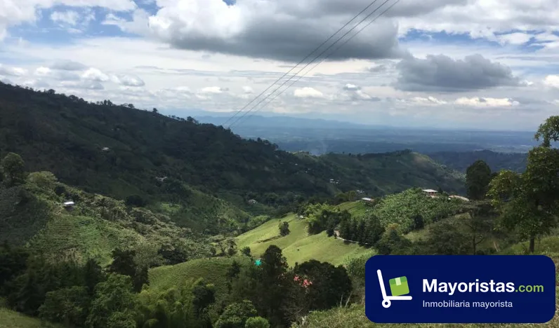 Finca ganadera de 13 ha en Córdoba, Quindío