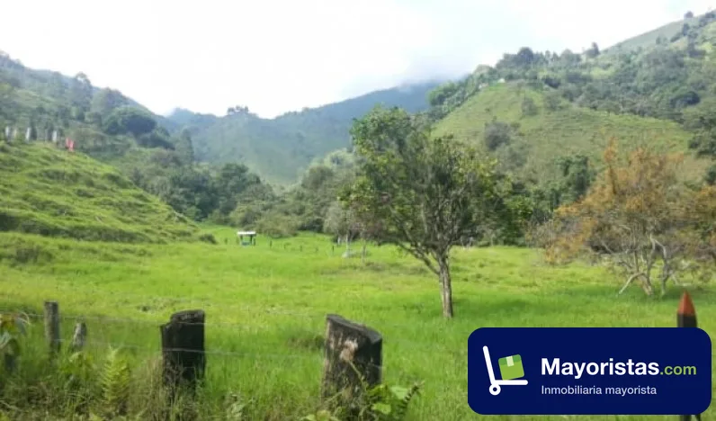 Finca cafetera de 86,4 ha en Santa Bárbara, Antioquia
