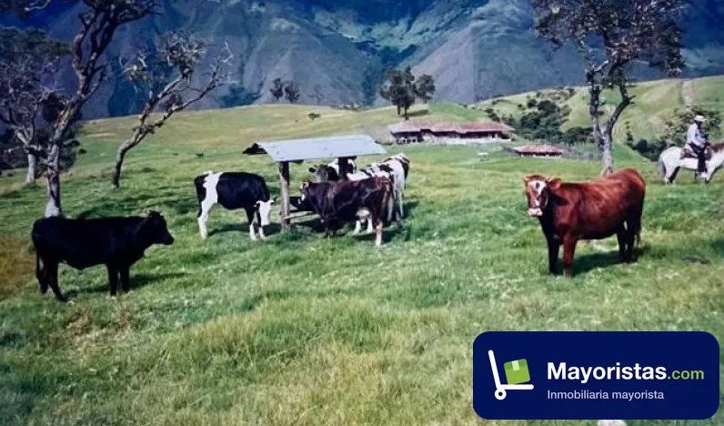 Finca ganadera de 277 ha en Tuluá, Valle del Cauca