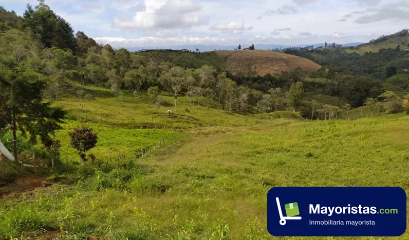 Finca ganadera de 8,5 ha en San Vicente, Antioquia