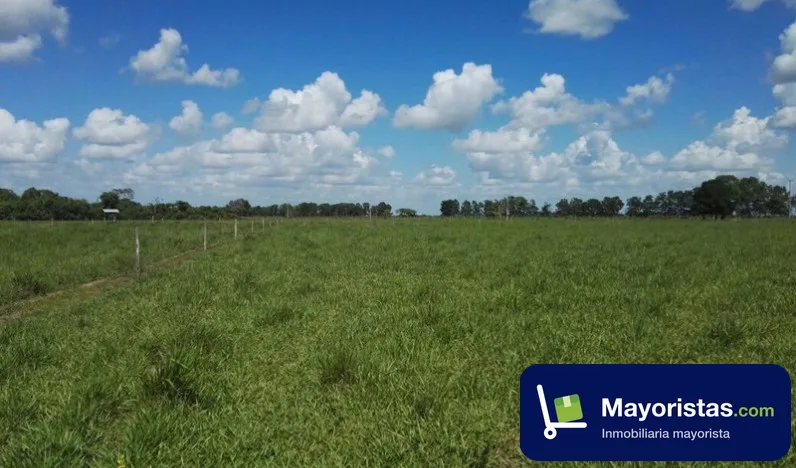 Finca ganadera de 255 ha en Cumaral, Meta