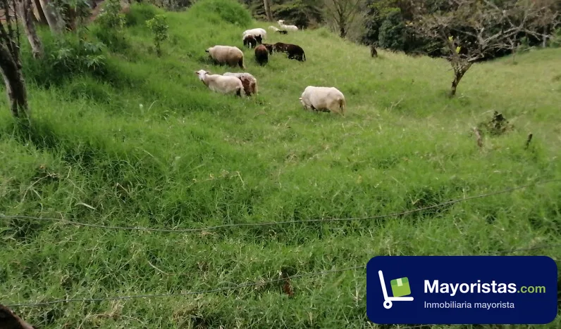 Finca ganadera de 9 ha en Arbeláez, Cundinamarca