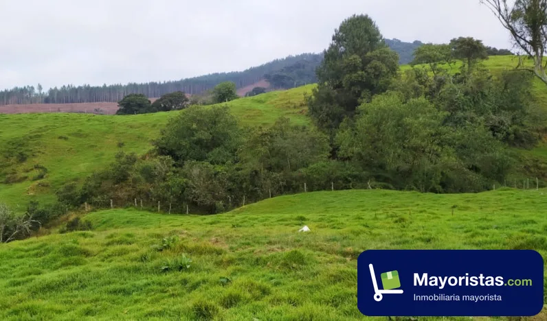 Finca ganadera de 463 ha en San José de La Montaña, Antioquia