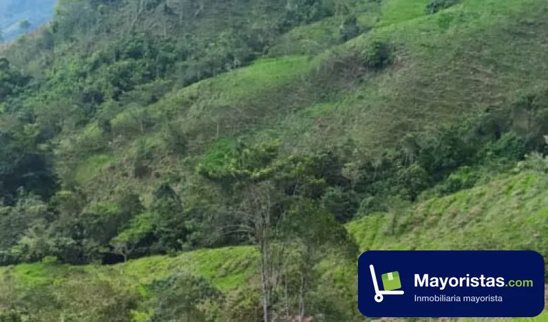 Finca cafetera de 25 ha en Viani, Cundinamarca