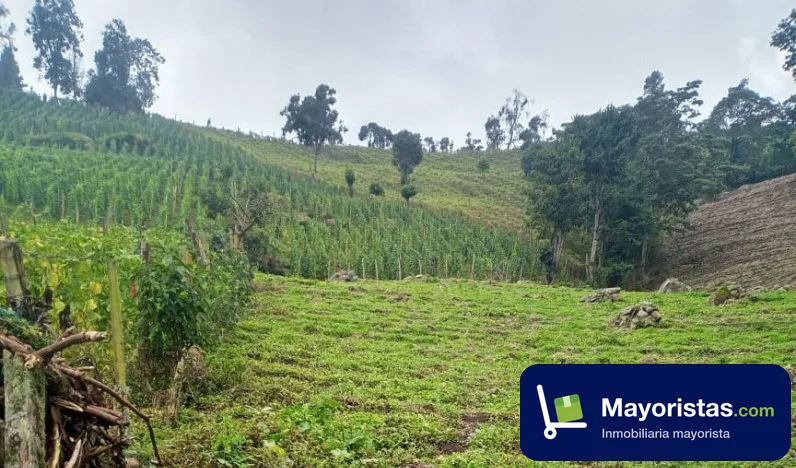 Finca agrícola de 1,4 ha en Granada, Cundinamarca