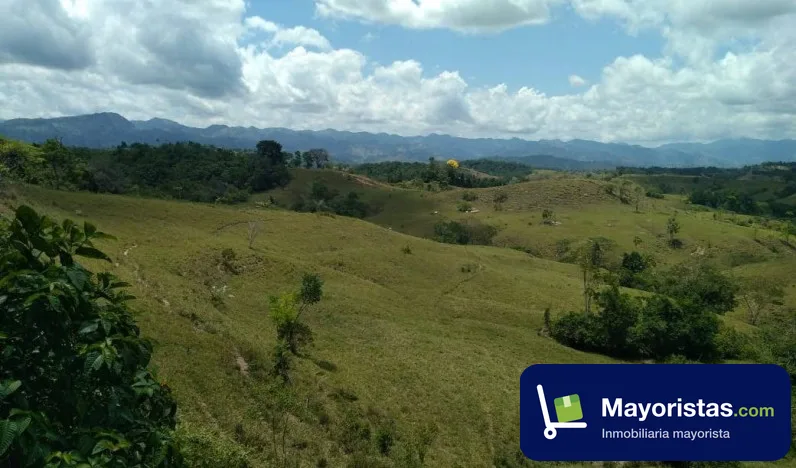 Finca ganadera de 200 ha en Puerto Boyacá, Boyacá