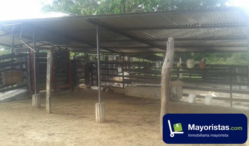 Finca ganadera de 200 ha en Puerto Boyacá, Boyacá — foto 10 de 10