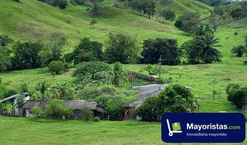Finca ganadera de 400 ha en Puerto Boyacá, Boyacá — foto 10 de 10