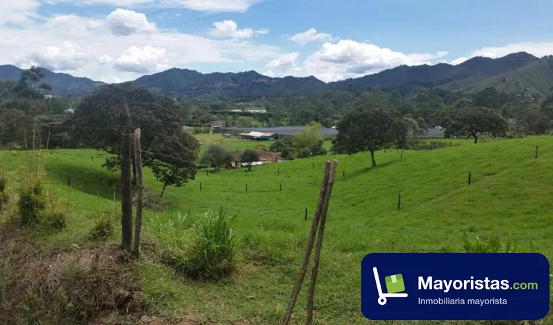Finca ganadera de 8,5 ha en La Ceja, Antioquia