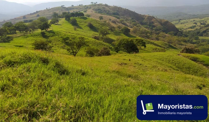 Finca ganadera de 940 ha en Baraya, Huila