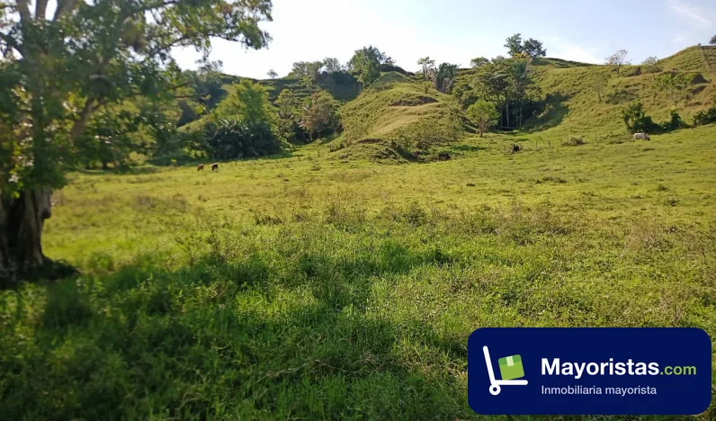 Finca ganadera de 106,8 ha en Puerto Boyacá, Boyacá — foto 10 de 10