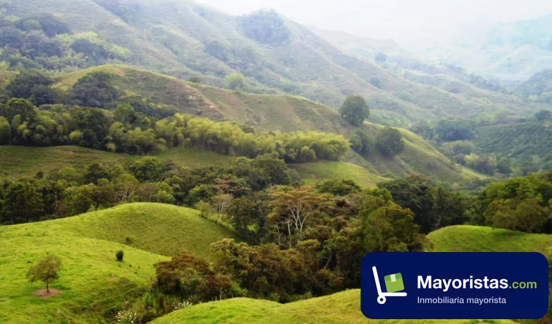 Finca ganadera de 38,4 ha en Montenegro, Quindío