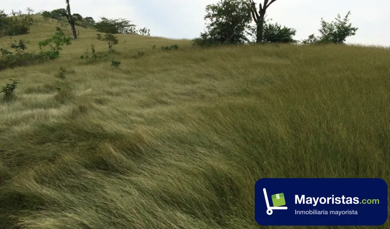 Finca ganadera de 700 ha en Armero, Tolima