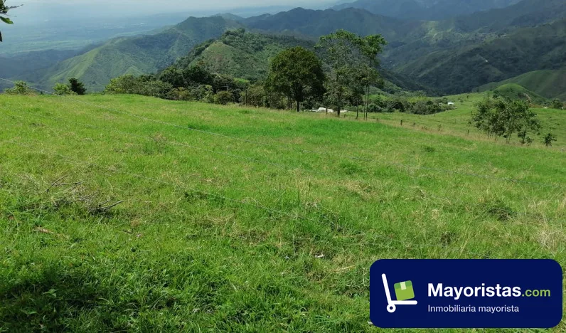 Finca agrícola de 850 ha en El Cerrito, Valle del Cauca