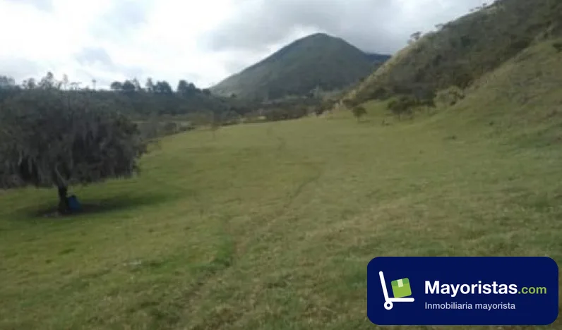 Finca ganadera de 2.200 ha en Palmira, Valle del Cauca