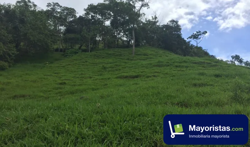 Finca ganadera de 40 ha en Rionegro, Santander