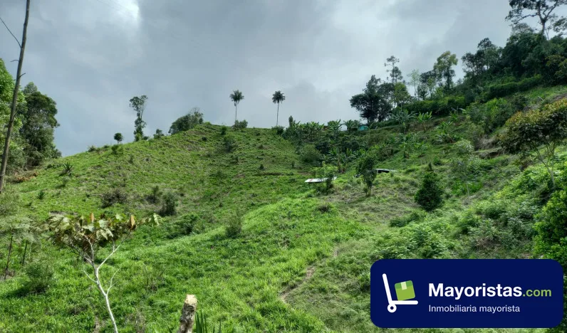 Finca ganadera de 4,5 ha en San Francisco, Cundinamarca