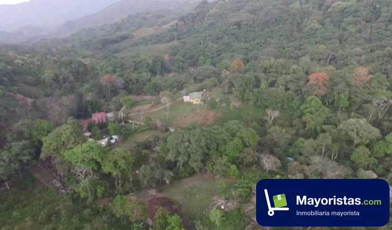Finca cafetera de 12 ha en Santa Marta, Magdalena