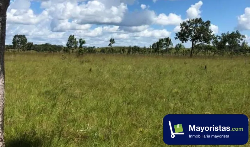 Finca agrícola de 340 ha en Cumaribo, Vichada — foto 9 de 10