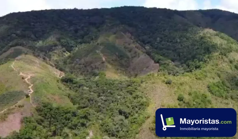 Finca agrícola de 40 ha en Piedecuesta, Santander