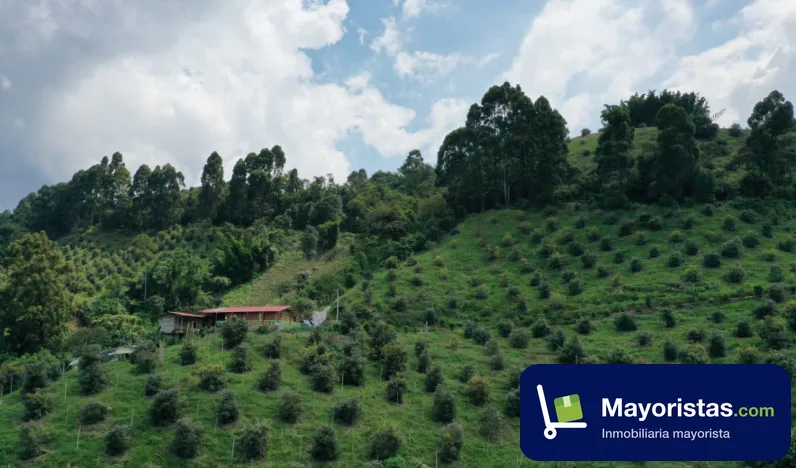 Finca agrícola de 28,8 ha en Villamaria, Caldas