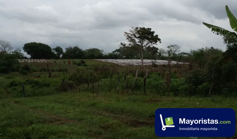 Finca agrícola de 12,6 ha en Arjona, Bolívar — foto 9 de 10