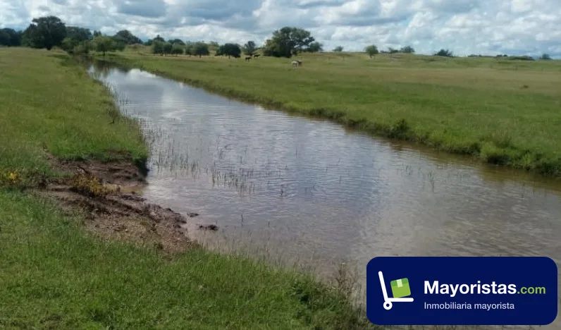 Finca ganadera de 423 ha en Saldaña, Tolima