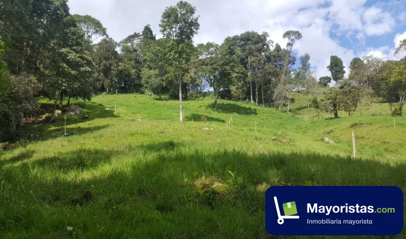 Finca ganadera de 6,4 ha en Silvania, Cundinamarca
