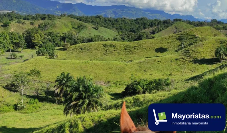 Finca ganadera de 434 ha en Puerto Boyacá, Boyacá