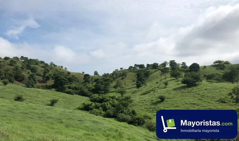 Finca ganadera de 100 ha en San Juan Nepomuceno, Bolívar