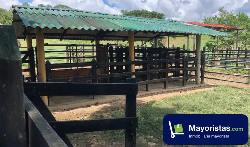 Finca ganadera de 100 ha en San Juan Nepomuceno, Bolívar — foto 10 de 10
