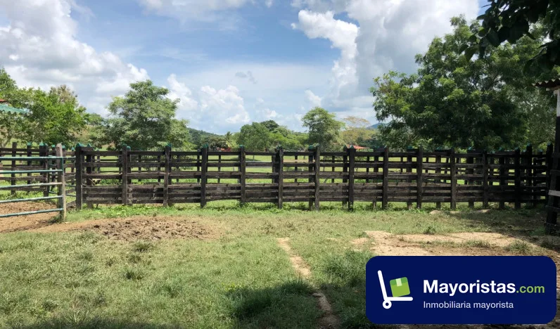 Finca ganadera de 100 ha en San Juan Nepomuceno, Bolívar — foto 9 de 10