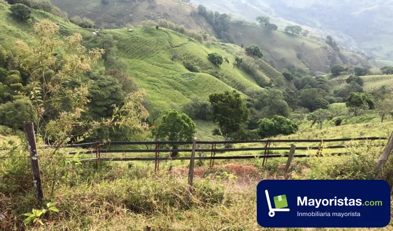 Finca ganadera de 23 ha en Armenia, Antioquia