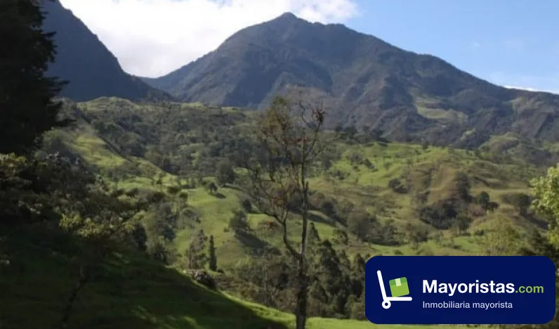Finca ganadera de 87 ha en Pacho, Cundinamarca — foto 10 de 10