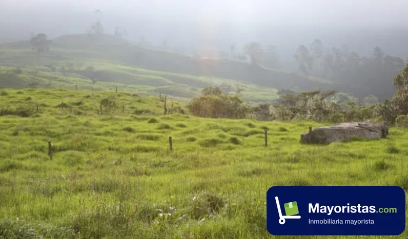 Finca ganadera de 87 ha en Pacho, Cundinamarca — foto 9 de 10