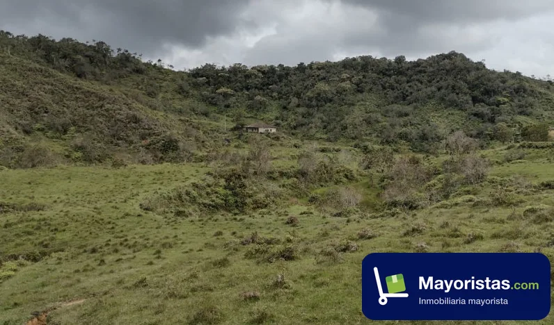 Finca ganadera de 1.000 ha en Concepción, Antioquia