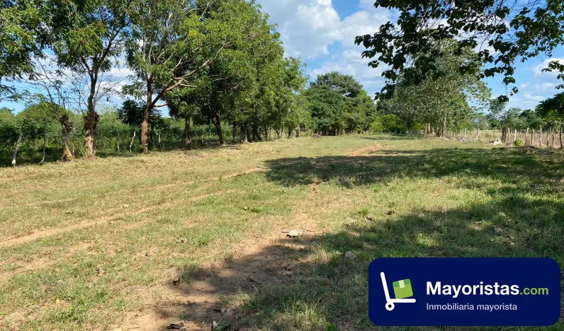 Finca ganadera de 23 ha en Momil, Córdoba