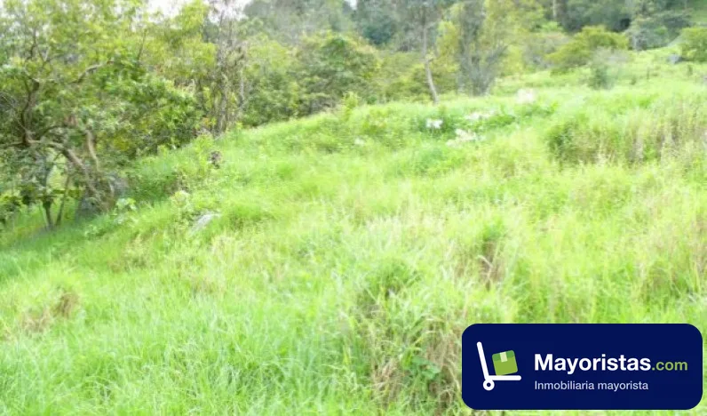 Finca cafetera de 8,6 ha en Guayabal de Siquima, Cundinamarca