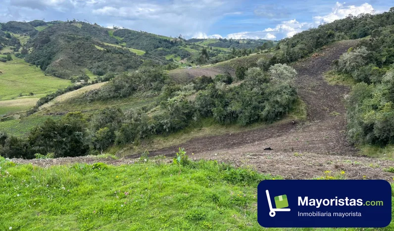 Finca agrícola de 19,2 ha en Cómbita, Boyacá — foto 9 de 9
