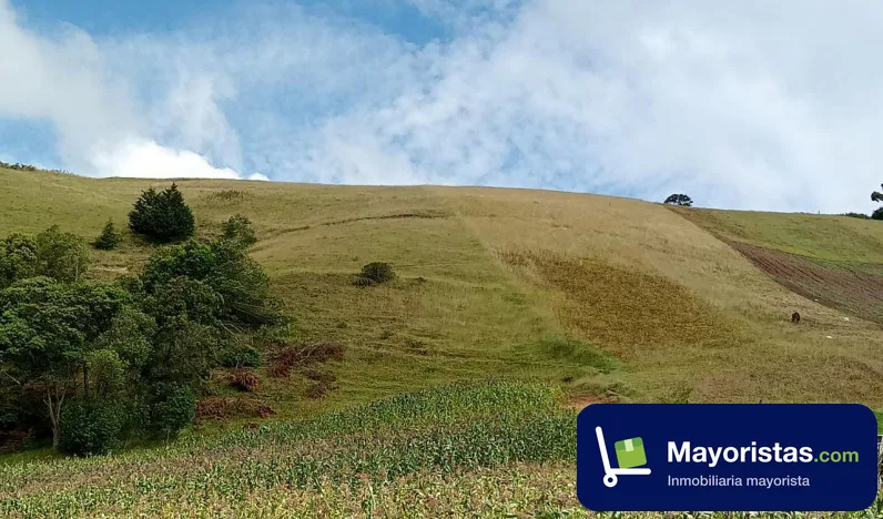 Finca agrícola de 1 ha en Soracá, Boyacá