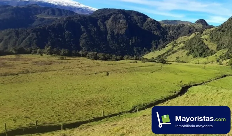 Finca ganadera de 200 ha en Herveo, Tolima