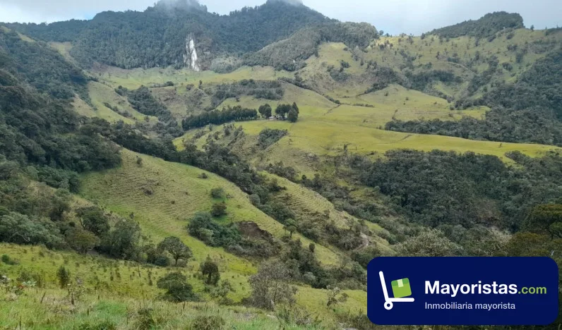 Finca ganadera de 200 ha en Herveo, Tolima — foto 10 de 10