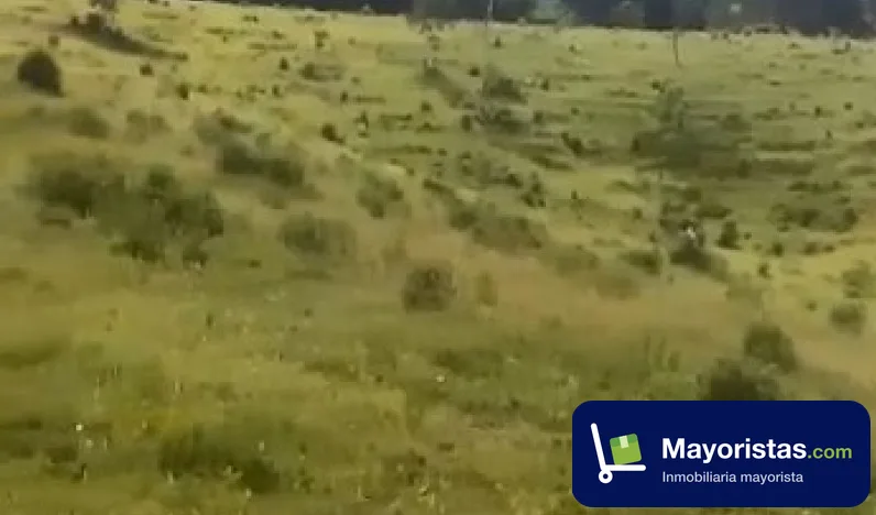 Finca ganadera de 29 ha en Puerto Guzmán, Putumayo
