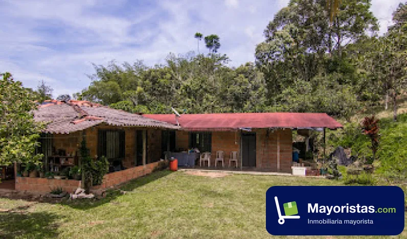 Finca ganadera de 2,8 ha en San Francisco, Antioquia — foto 9 de 9