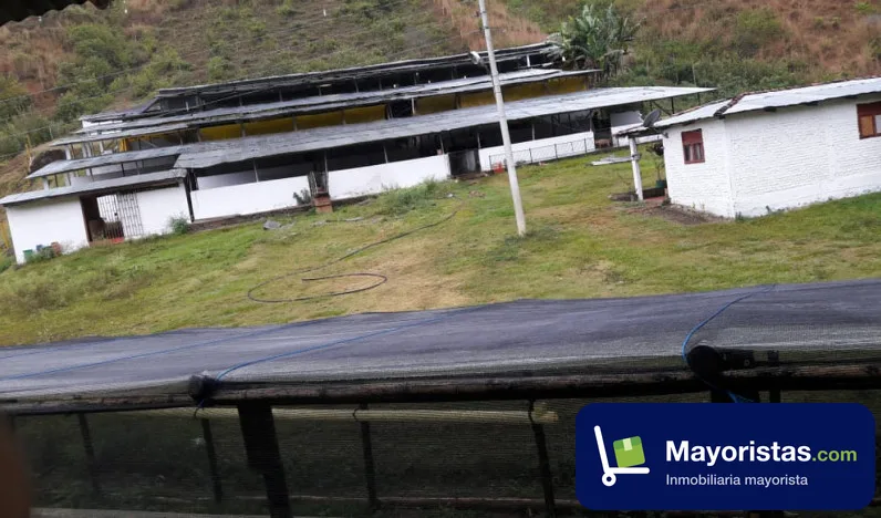 Finca ganadera de 352 ha en Yumbo, Valle del Cauca — foto 10 de 10