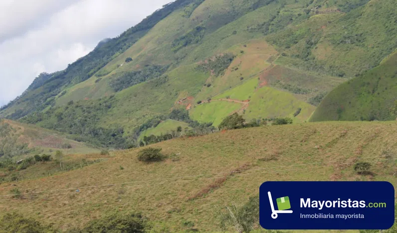 Finca ganadera de 352 ha en Yumbo, Valle del Cauca — foto 9 de 10