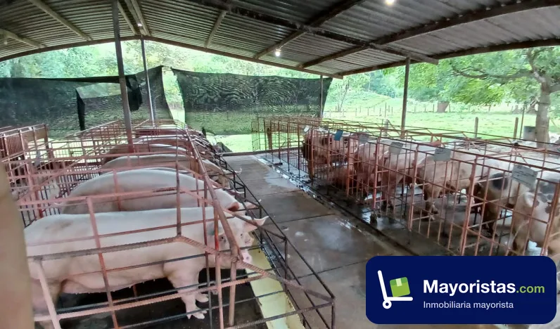 Finca agrícola de 2,5 ha en Puerto Boyacá, Boyacá